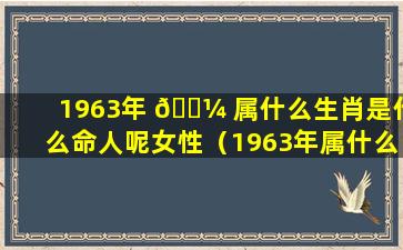 1963年 🐼 属什么生肖是什么命人呢女性（1963年属什么生肖是什么命人呢女性婚姻）